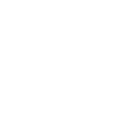 Path of Exile 2